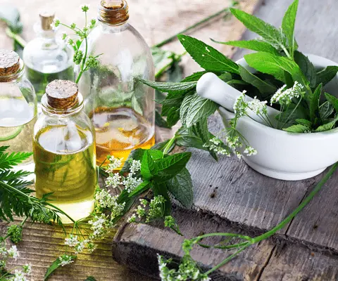 Herbal hair oil ingredients